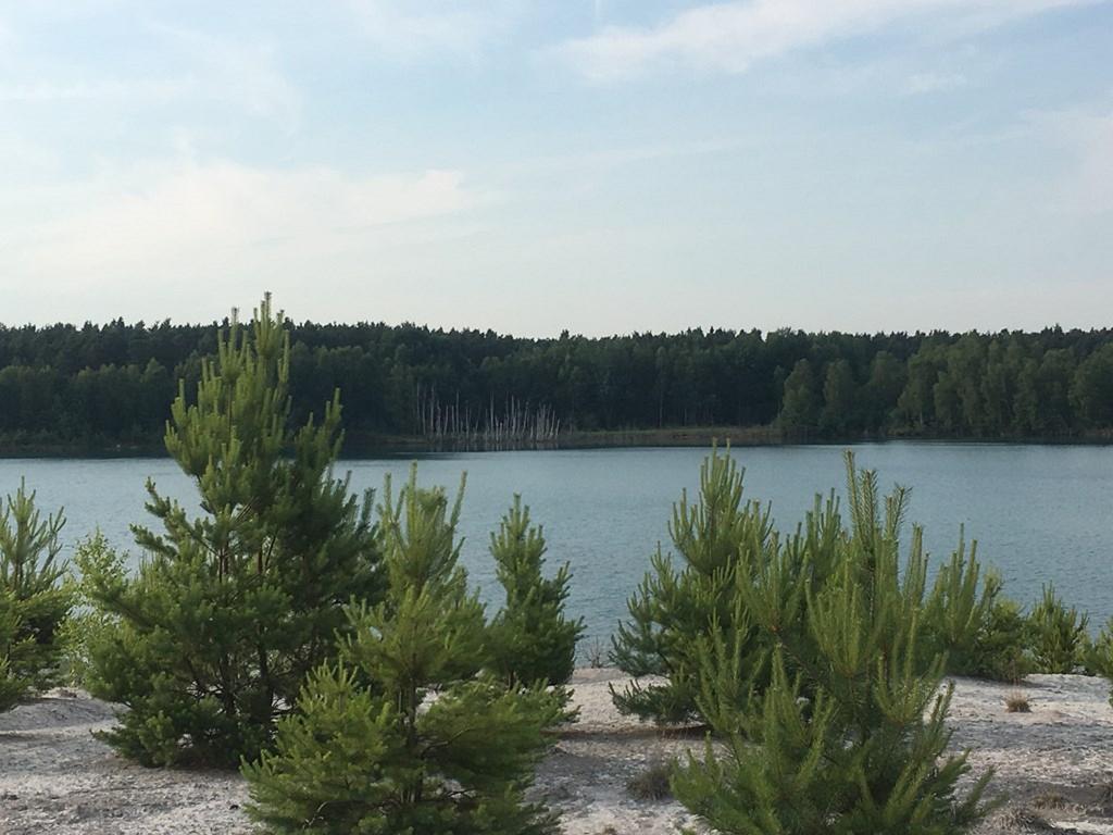 Ferienwohnung Am Schiederdamm Schwandorf in Bayern Cameră foto